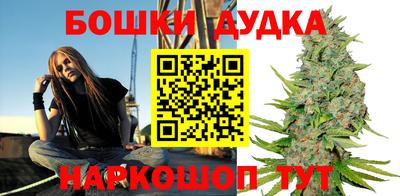 молекула духа Шебекино