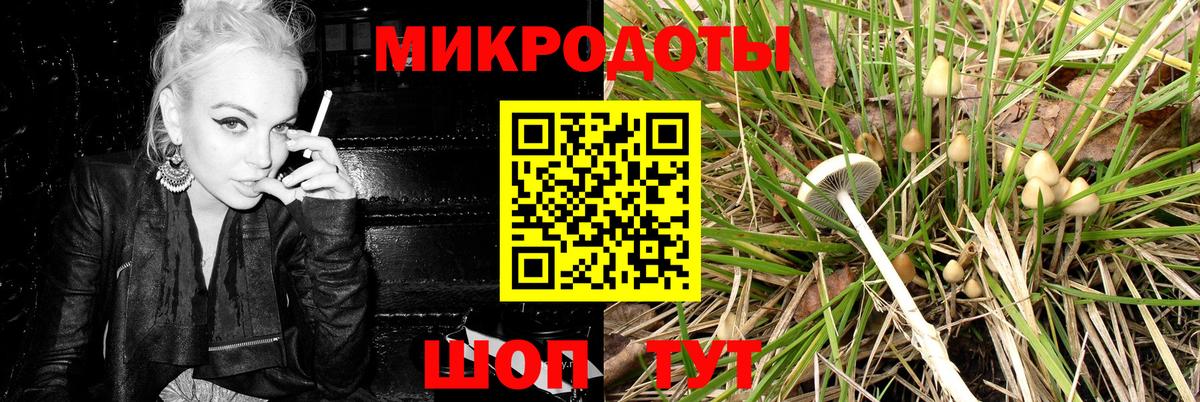 Галлюциногенные грибы Cubensis Магадан