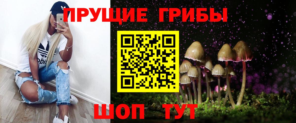 Магадан  Галлюциногенные грибы мицелий  Вход с VPN 